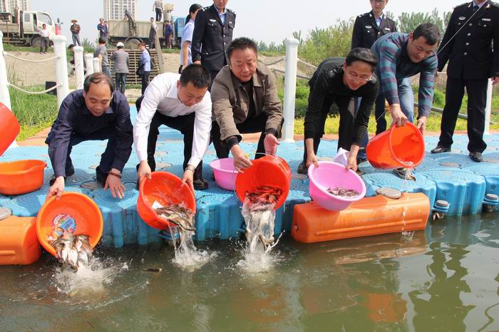 獲獎(jiǎng)作品5