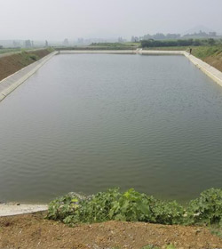 襄陽市直農場畜牧良種場高標準農田建設項目