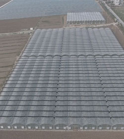 襄州區雙溝現代農業示范區高標準農田建設項目